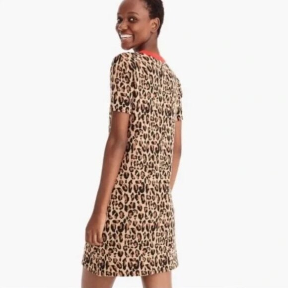 Leopard Print Dress - Picture 5 of 5
